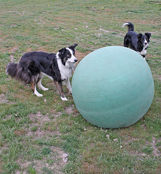 Hanna and Zoe playing Big Ball